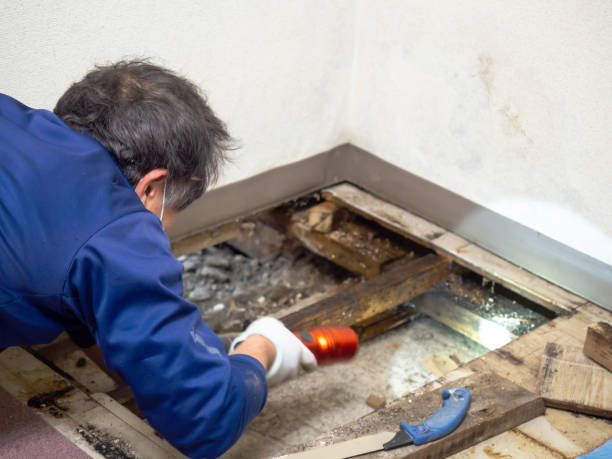 Best Crawl Space Mold Removal  in Innsbrook, VA