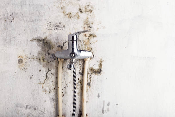 Home Mold Removal in Innsbrook, VA