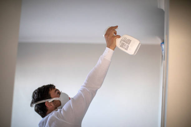 Attic Mold Removal in Innsbrook, VA