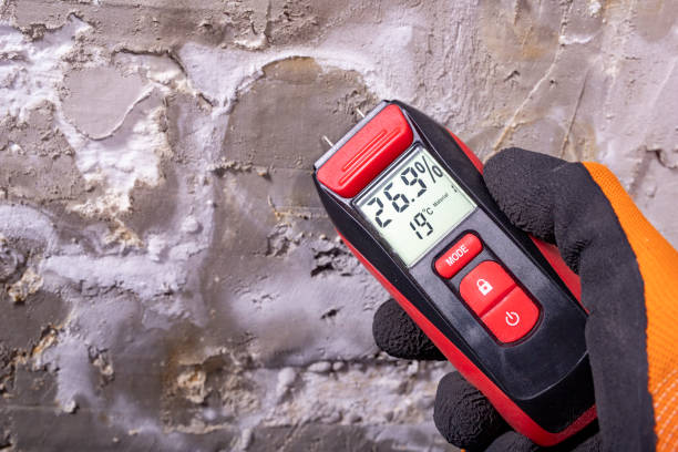 Best Attic Mold Removal  in Innsbrook, VA