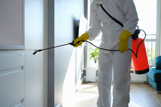 Best Black Mold Removal  in Innsbrook, VA