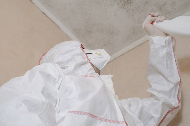 Best Commercial Mold Removal  in Innsbrook, VA