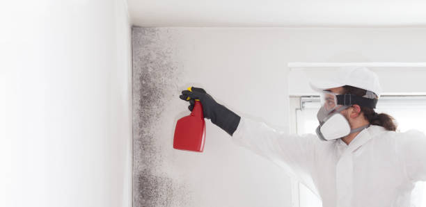 Best Mold Removal Company Near Me  in Innsbrook, VA