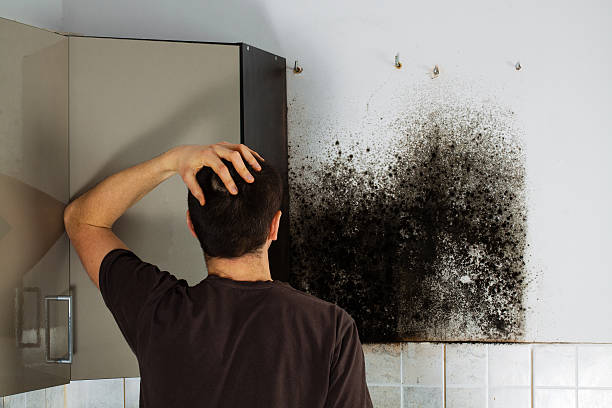 Best Mold Testing  in Innsbrook, VA
